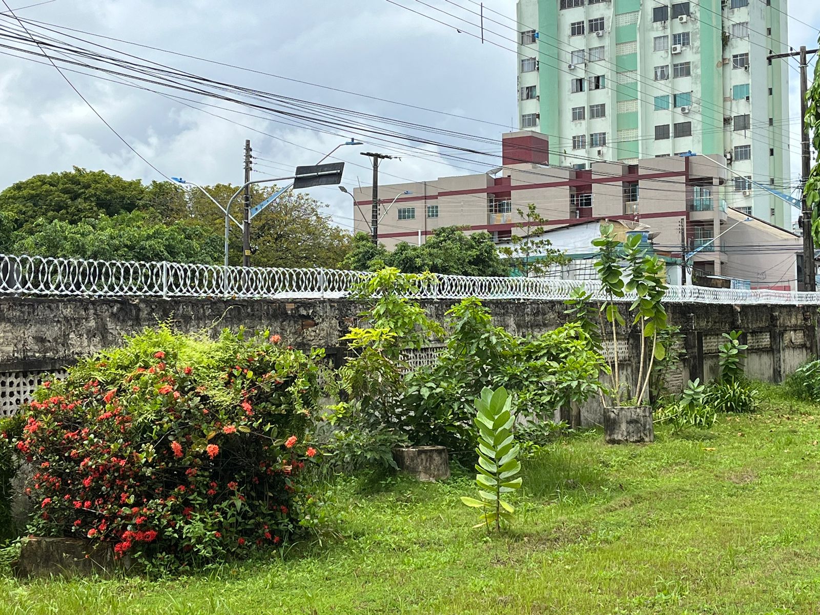 WhatsApp Image 2024-04-15 at 14.50.32 (2).jpeg