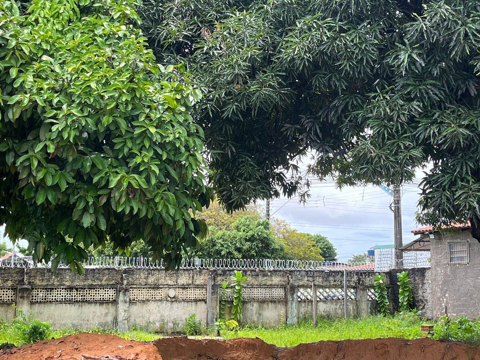 WhatsApp Image 2024-04-15 at 14.50.32 (3).jpeg